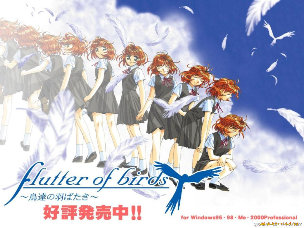 , flutter, of, birds